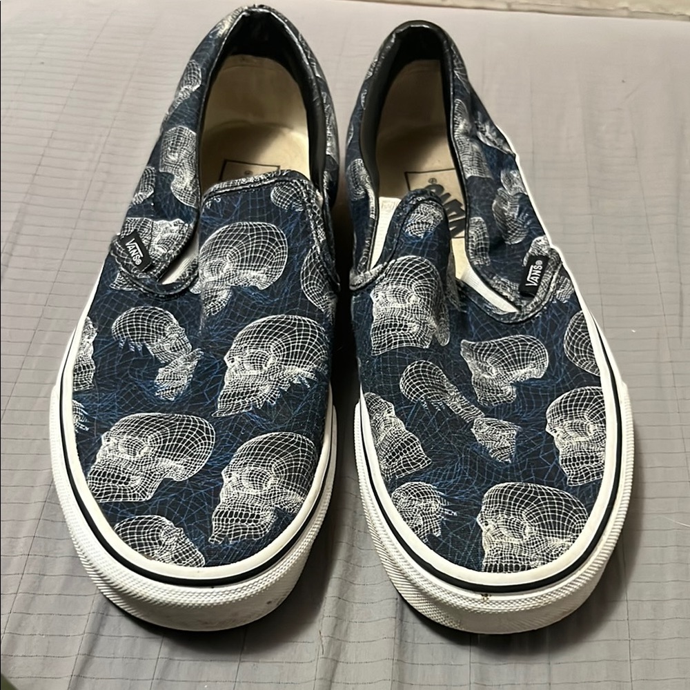 Vans Blue Skull Slip-On Sneakers